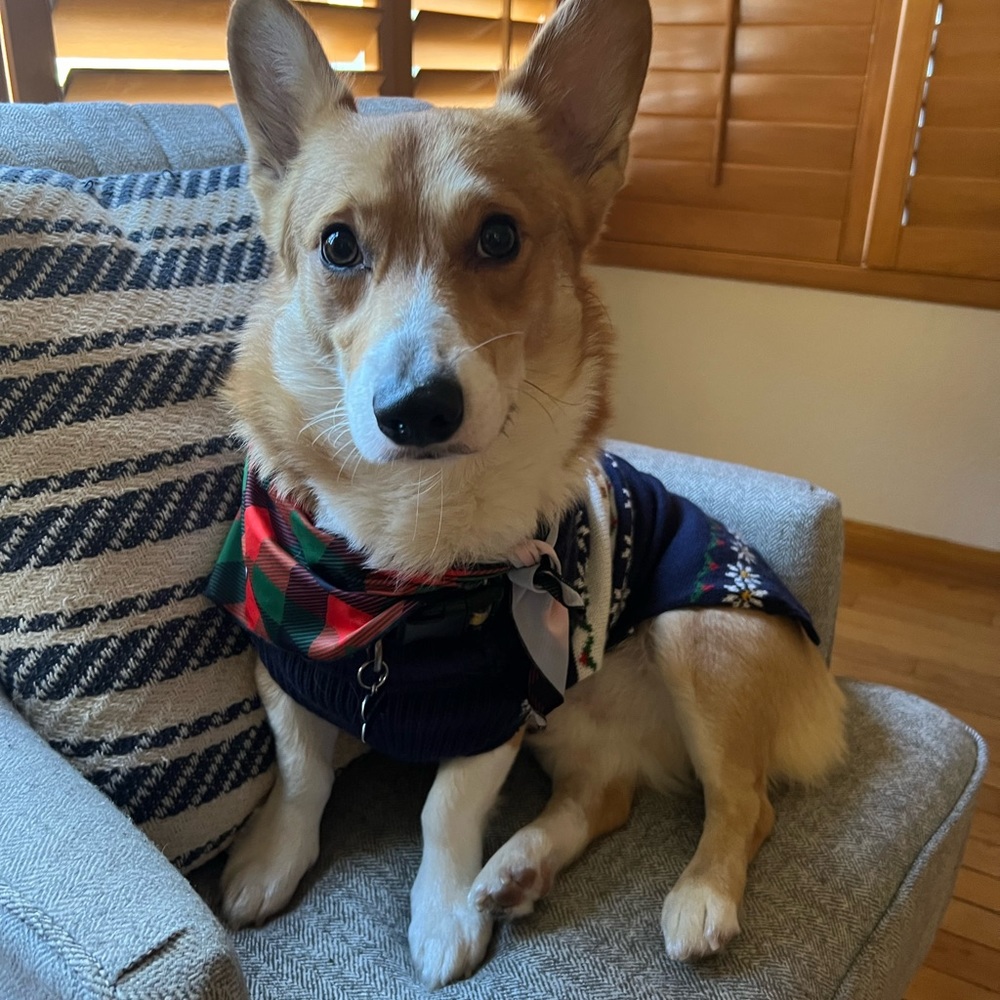 Meet your Posher, Michelle